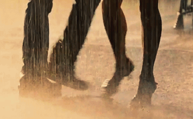 giphy (11).gif